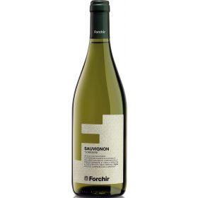 VINO FORCHIR CL75 SAUVIGNON GR.FRIULI 12°