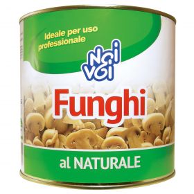 NOI&VOI FUNGHI NAT.K2,5 SGOCC.