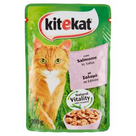 KITEKAT BS SALMONE GR100