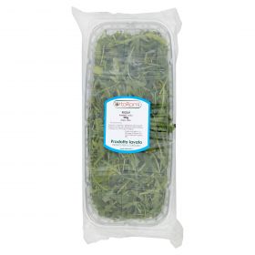 RUCOLA VASCHETTONE CATERING GR400