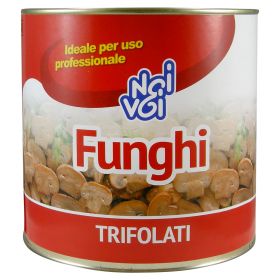 NOI&VOI FUNGHI TR.G2400