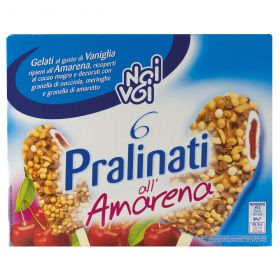 NOI&VOI GEL.PRALINATI AMARENA X6 GR360