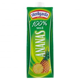 SUCCO LT1 SQUARE STER.ANANAS