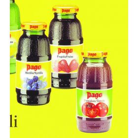 SUCCO PAGO CL20 MIRTILLO